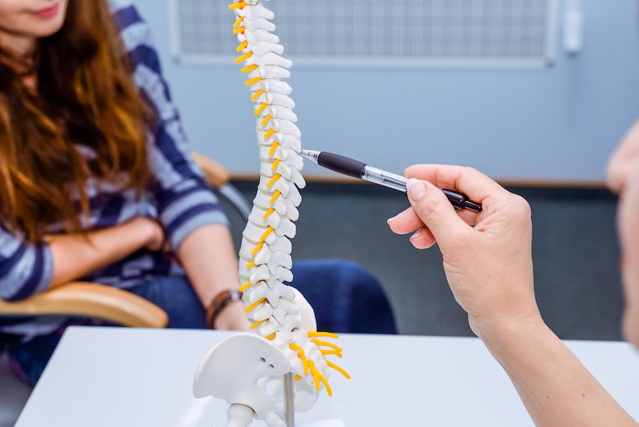 Chiropractor explaining spinal alignment with a spine model